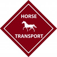 Horses Transport